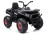 Детский квадроцикл с пультом 12V 2WD - XMX607-CARBON-PAINT