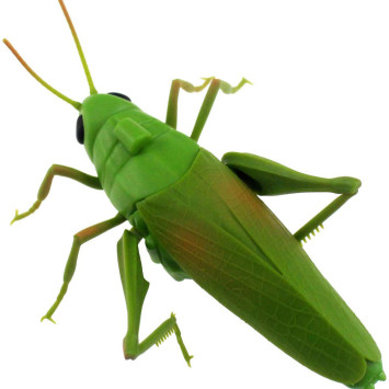 Радиоуправляемый робот ZF Кузнечик - 7705