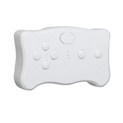 Пульт управления Wellye 2.4G для электромобилей - WE-RC-02