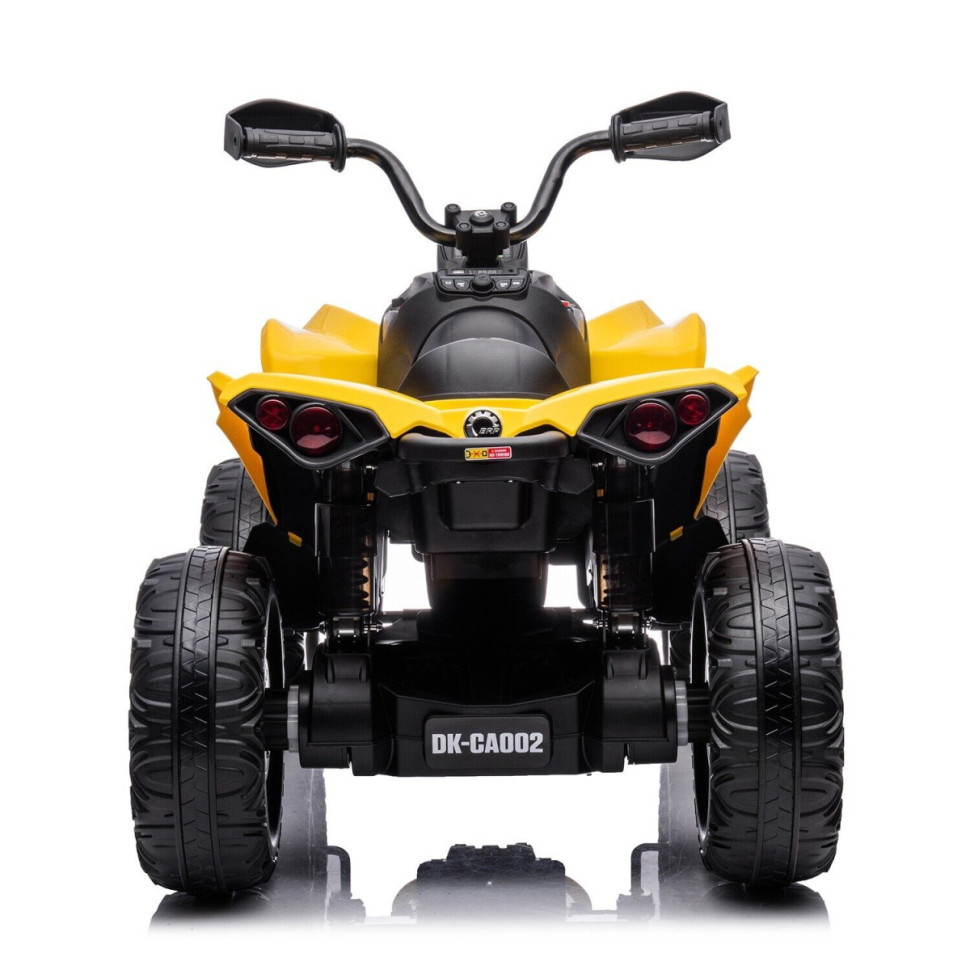 Детский электроквадроцикл BRP Can-Am Renegade (12V, полный привод ...